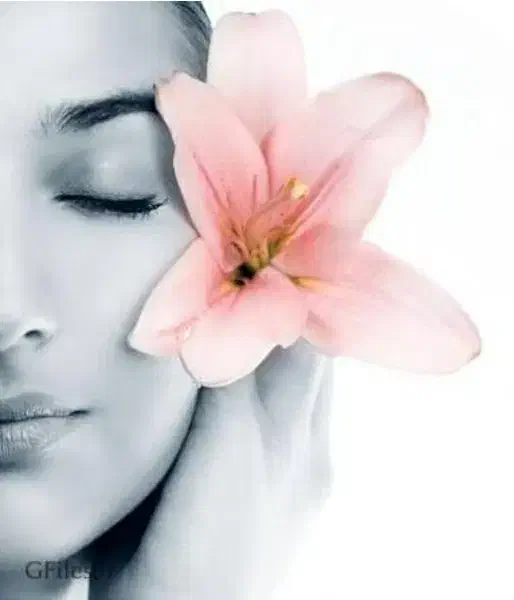 فیشال|حراج|کرمان, |دیوار