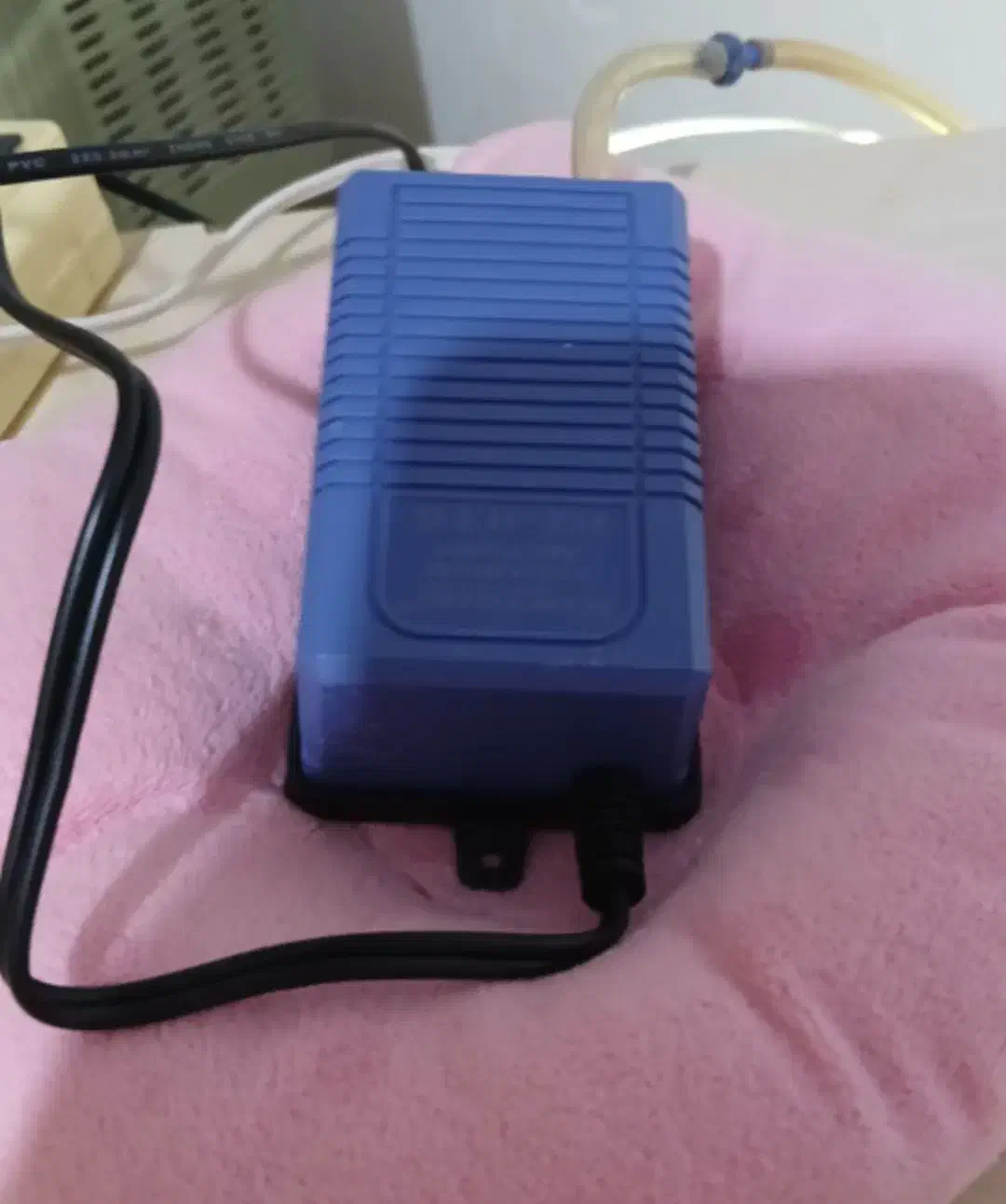 آکواریوم|ماهی|کرمانشاه, |دیوار