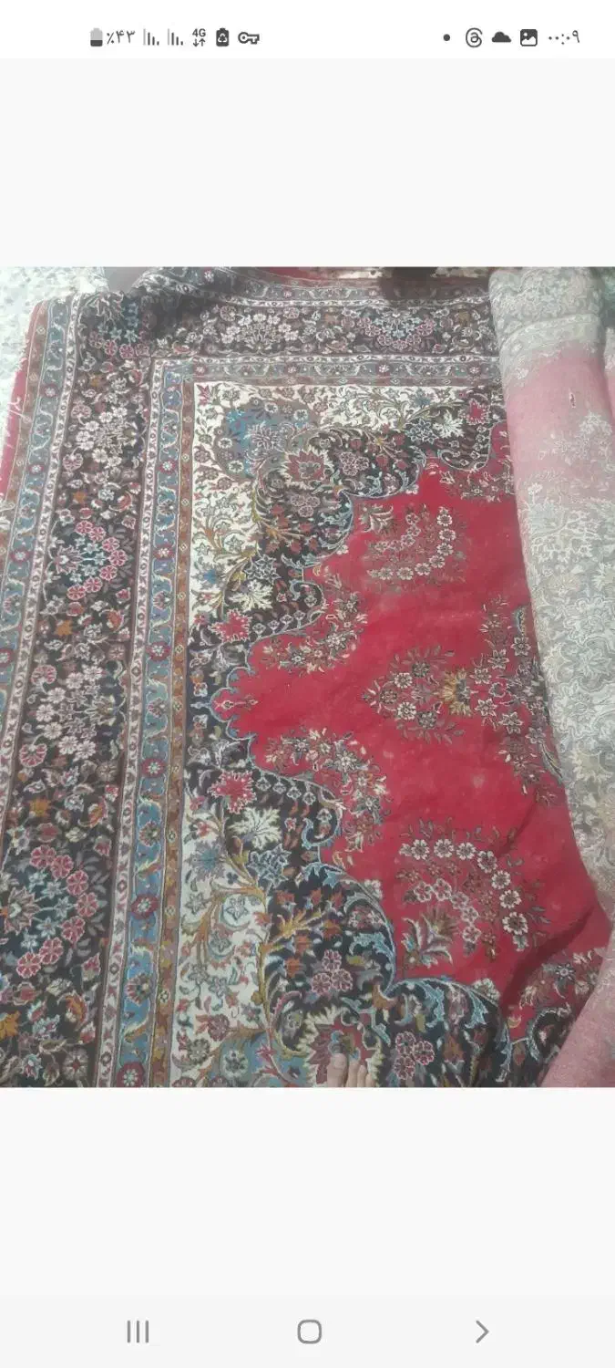 فرش ۱۲متری|فرش|بابل, |دیوار