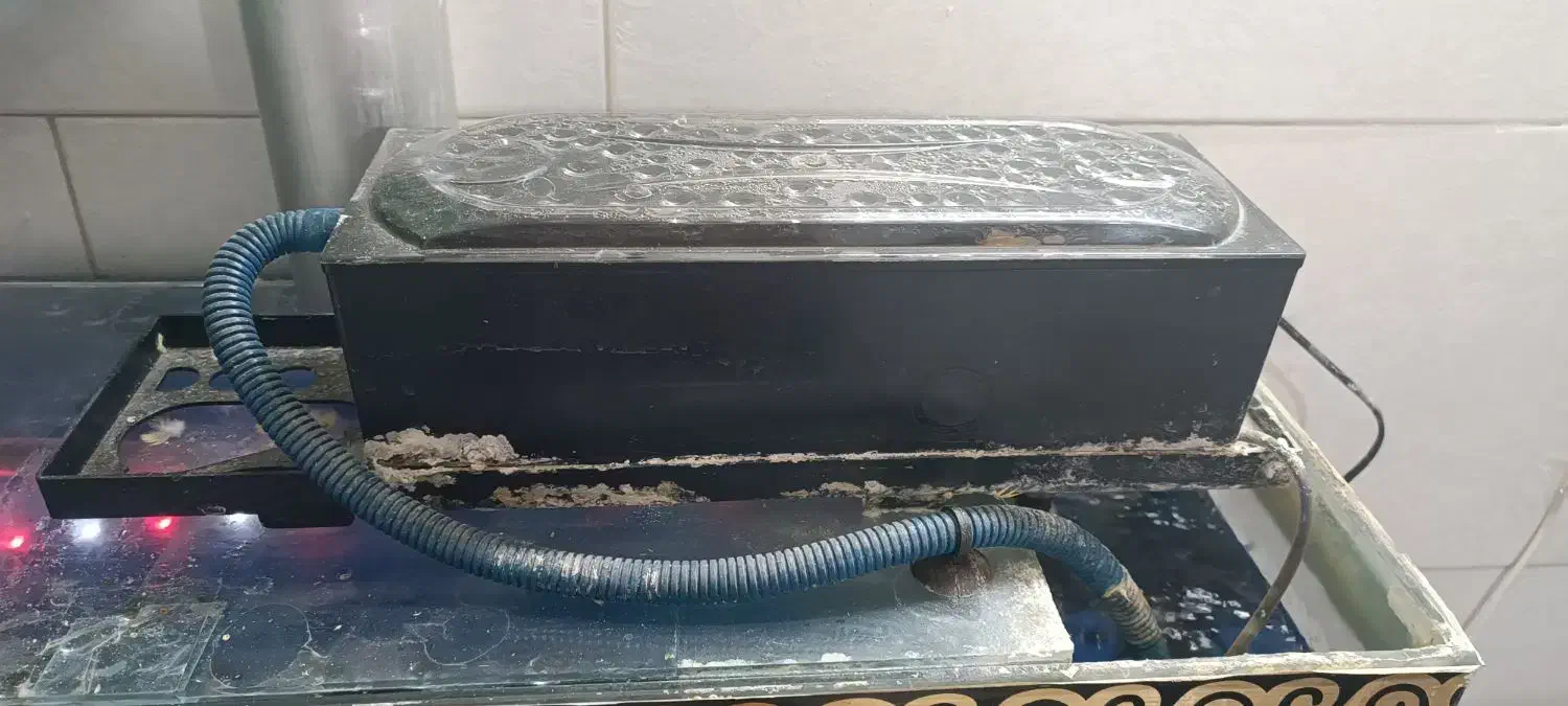 لوازم آکواریوم تکمیل|ماهی|پاکدشت, پاکدشت (مامازند)|دیوار