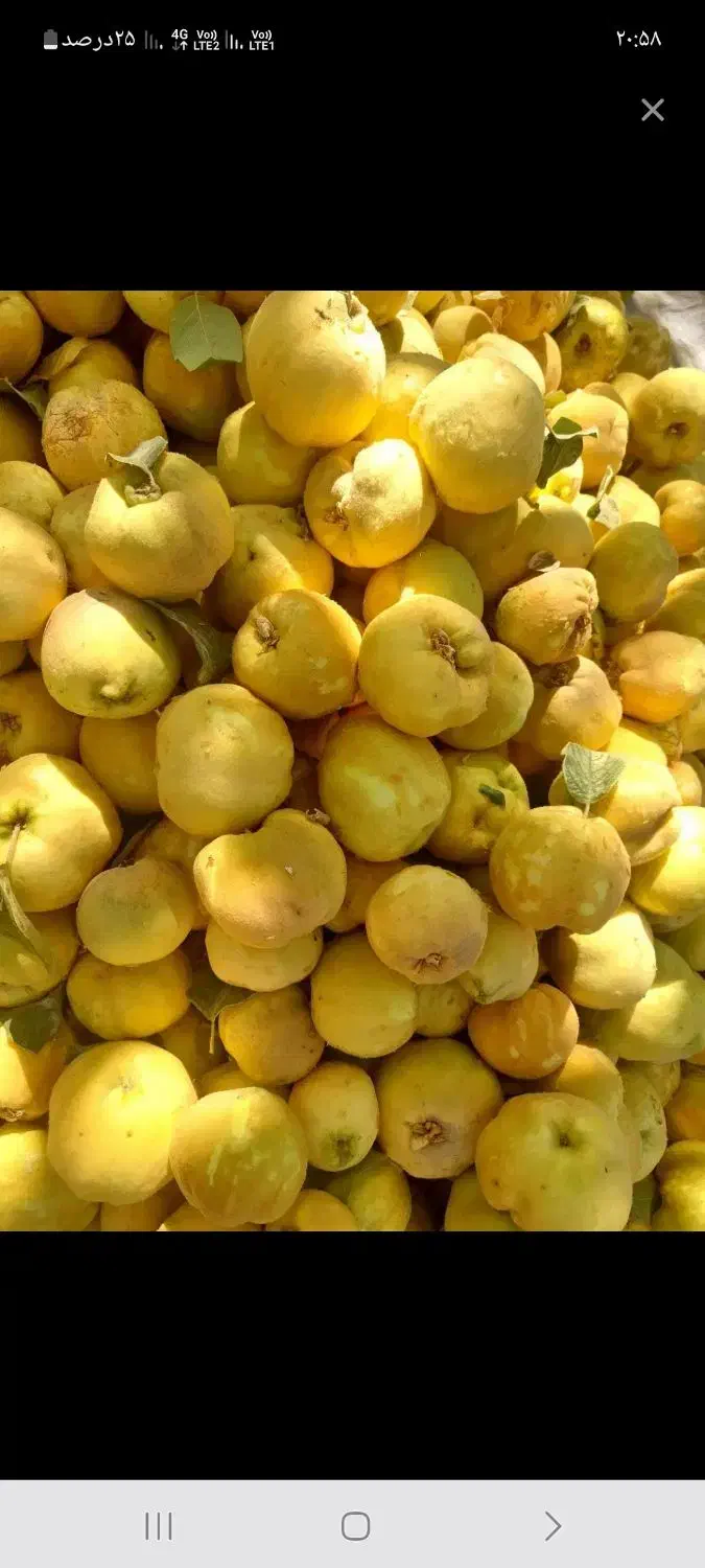 خریدار ضایعات میوه به ( هیوا) وبه دانه|خدمات پیشه و مهارت|اردبیل, |دیوار