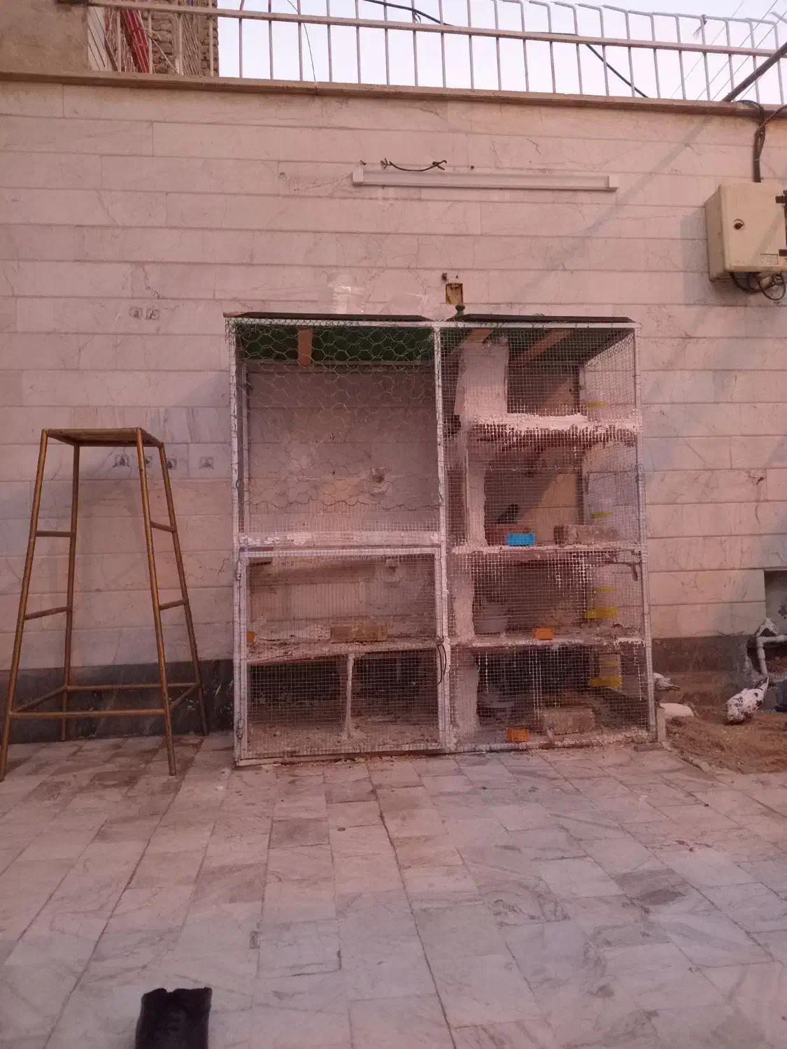 قفس کبوتر.یاهرحیون دیگه هم میشه توش نگه دارید|لوازم جانبی حیوانات|قم, محمد آباد|دیوار