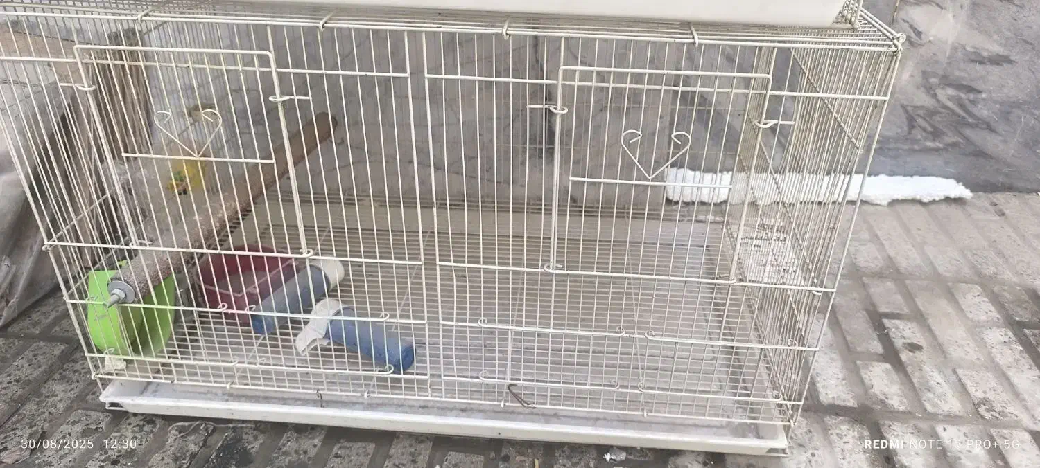 قفسه برای انواع پرندها مخصوصا عروس هلندی|لوازم جانبی حیوانات|باغستان, |دیوار