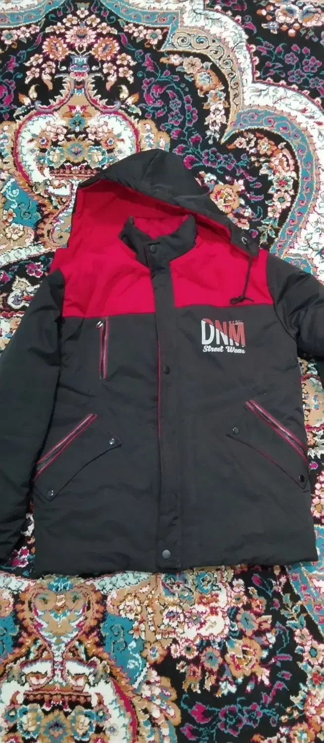 کاپشن مردونه نو|لباس|باغستان, |دیوار