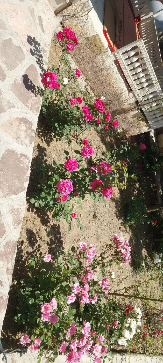 باغ ویلاشیک و منطقه لک لک،کلاکوب،گنبدواز|فروش خانه و ویلا|مشهد, لک لک|دیوار