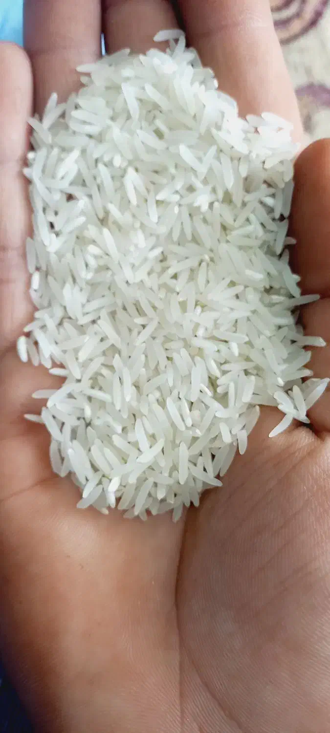 نیم دانه درشت و خوش عطر ۱۲۵|خوردنی و آشامیدنی|سنگدوین, |دیوار