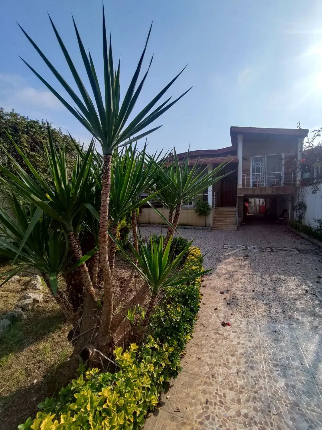 فروش و تهاتر  ویلا 500 متری منطقه صفائیه|فروش خانه و ویلا|بابلسر, |دیوار