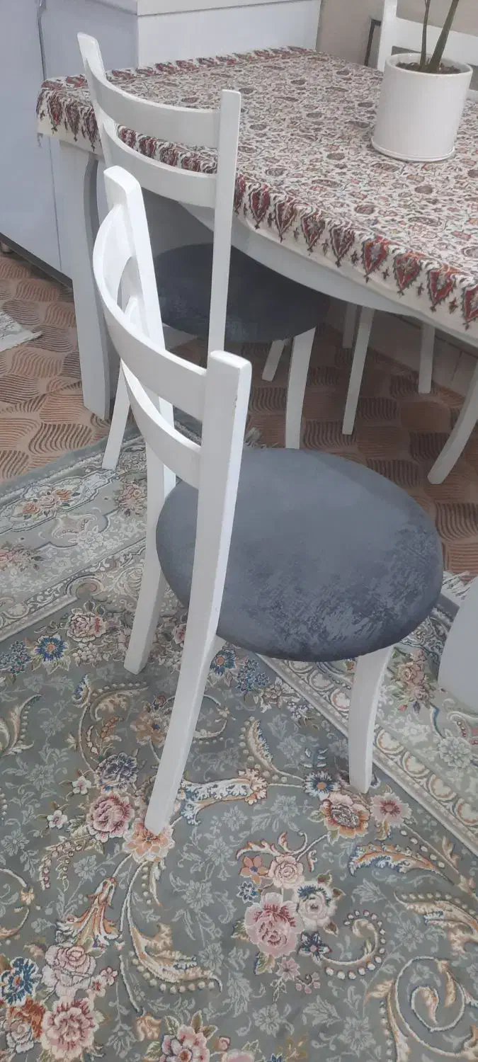 میزنهارخوری|میز و صندلی غذاخوری|شهرکرد, |دیوار