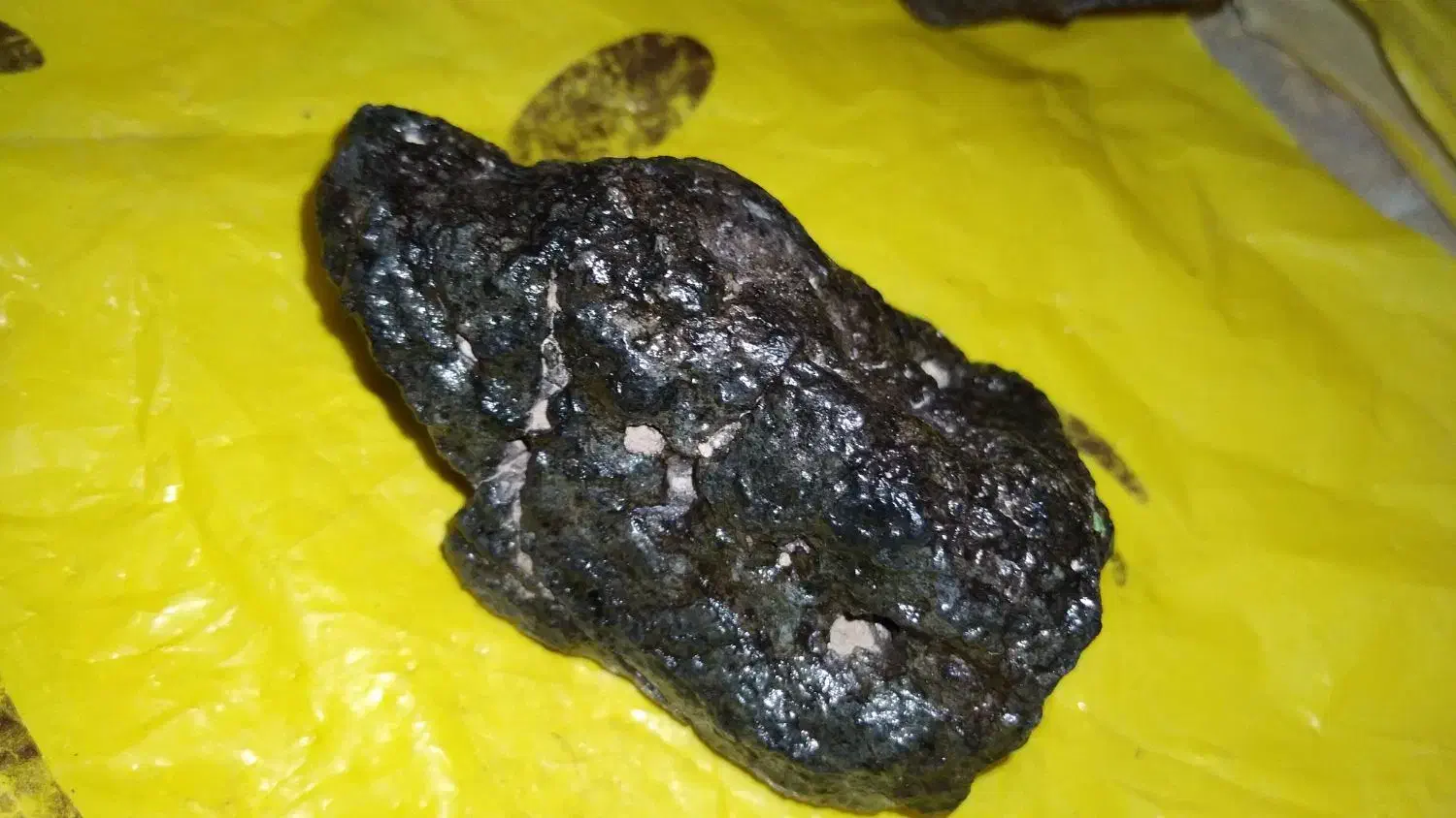 شهابسنگ|کلکسیون و سرگرمی|قم, باغ کرباسی|دیوار