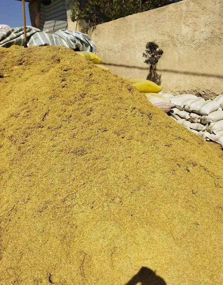 خرید و فروش کاه گندم و عدس|لوازم جانبی حیوانات|خلخال, |دیوار