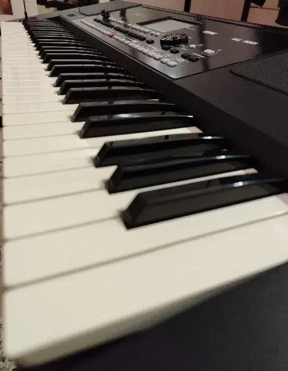 کیبورد pa300|پیانو، کیبورد، آکاردئون|جرقویه, |دیوار