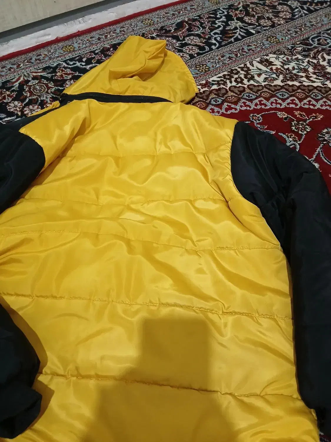 کاپشن|لباس|زنجان, |دیوار