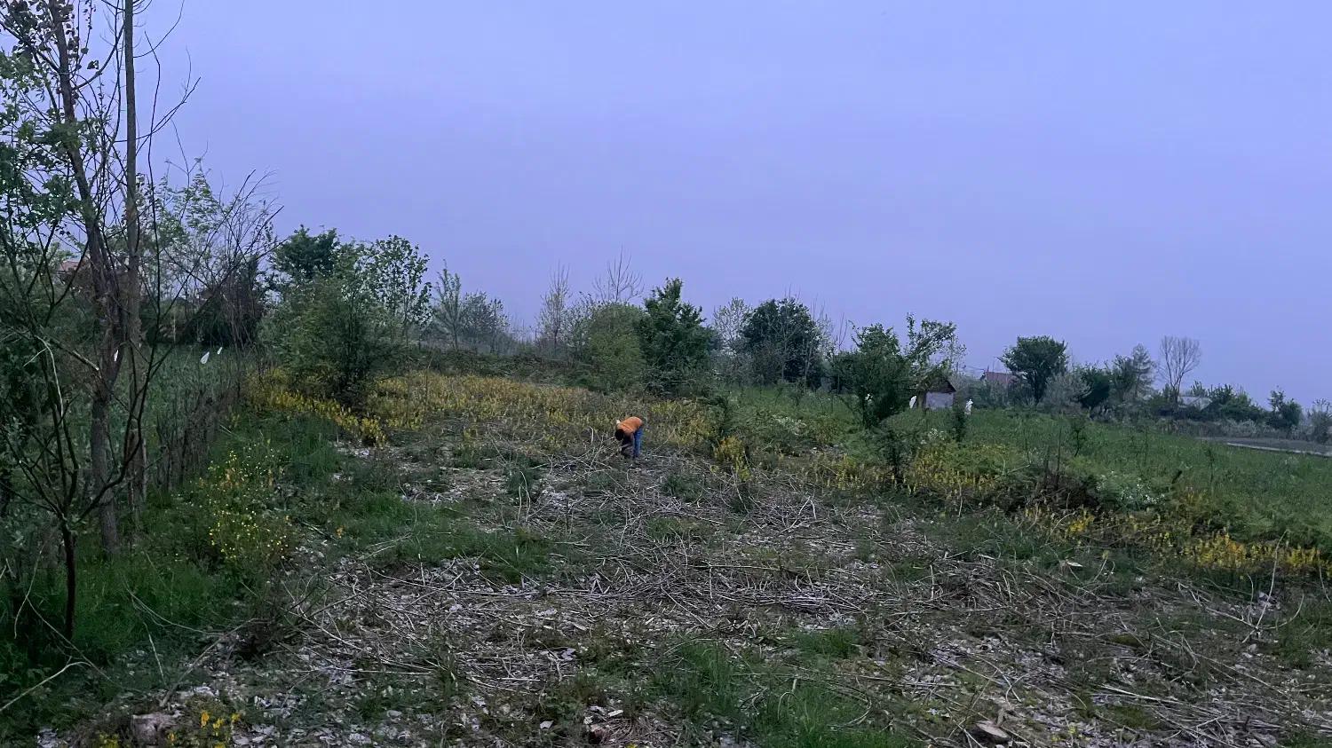 فروش زمین ۱۰۰۰ متری حومه پیربازار|فروش زمین و ملک کلنگی|رشت, بازار|دیوار