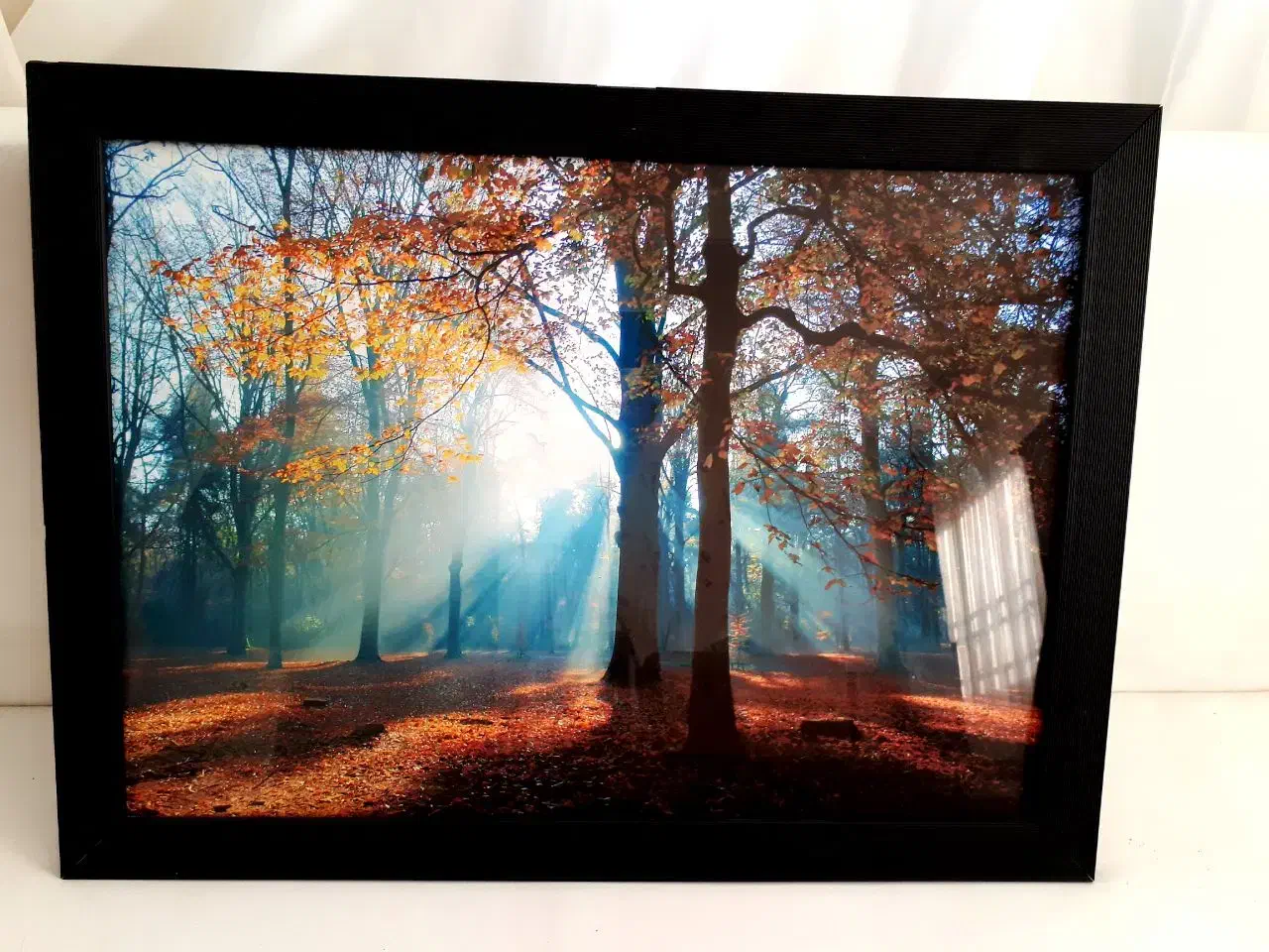 LED|تلویزیون و پروژکتور|اراک, |دیوار