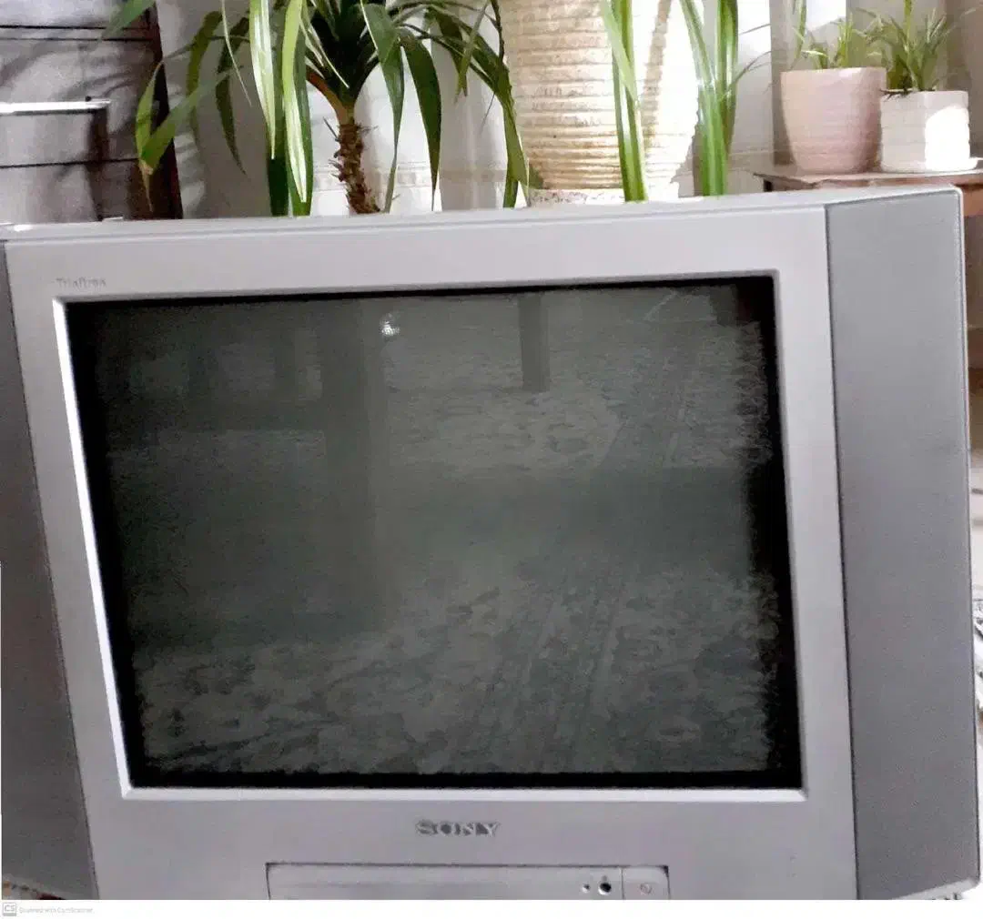 تلویزیون ۲۱اینچ سونی|تلویزیون و پروژکتور|اصفهان, شهرک زاینده رود|دیوار