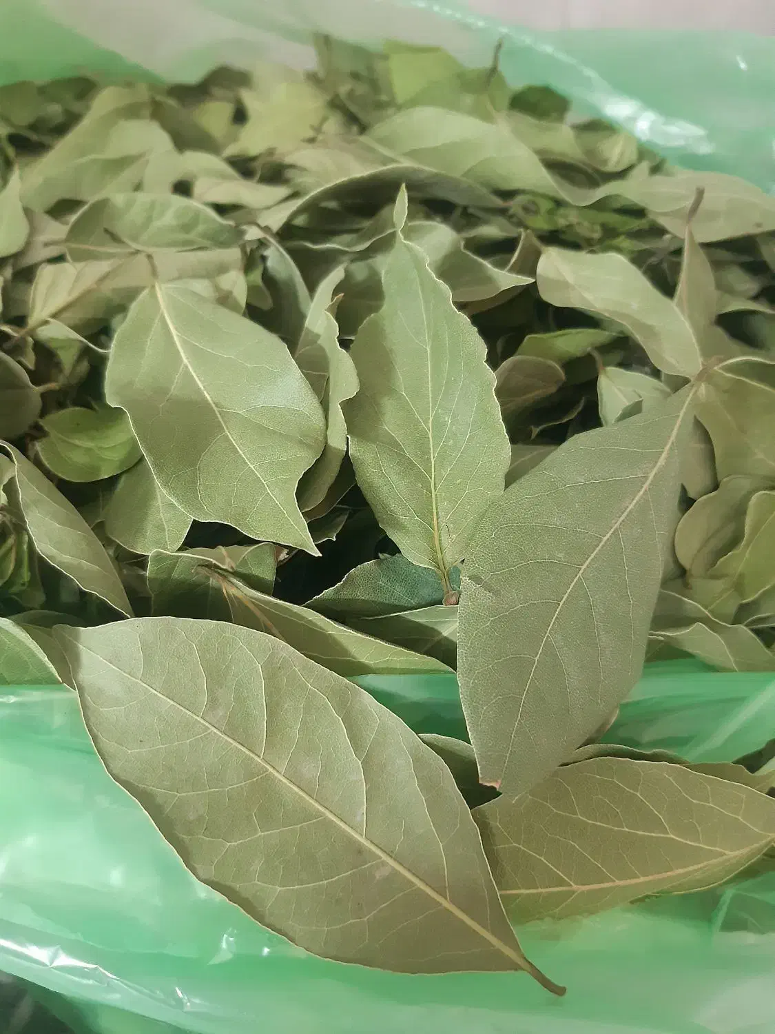 برگ بو تازه|خوردنی و آشامیدنی|اصفهان, محمودیه|دیوار