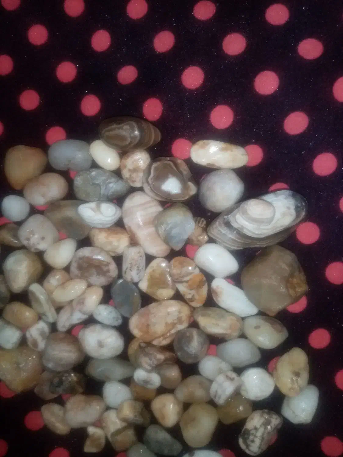 انواع گوهرسنگ(نگین) اصلی وطبیعی|جواهرات|قوچان, |دیوار