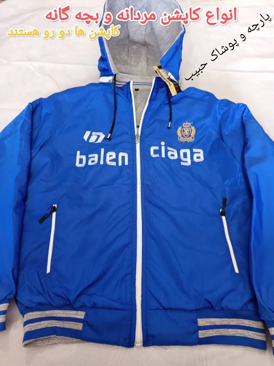 عروس هلندی|پرنده|سرپل ذهاب, |دیوار