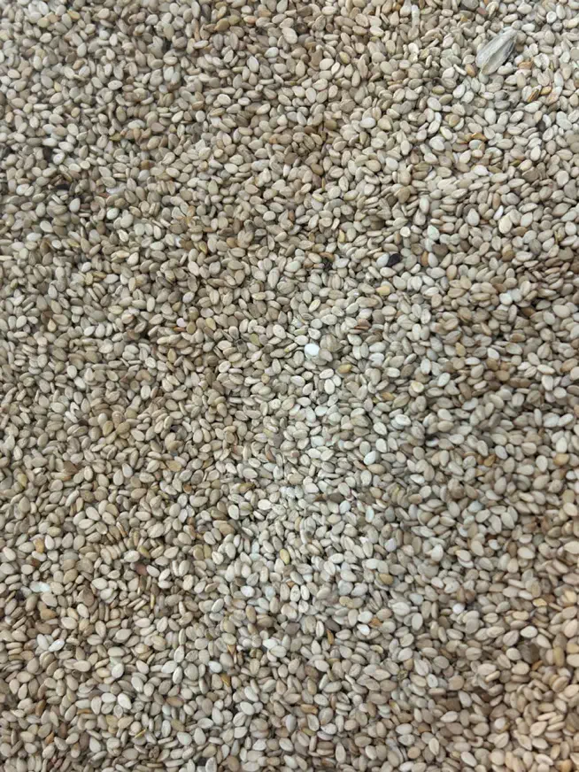 کنجد|خوردنی و آشامیدنی|تهران, شهرآرا|دیوار