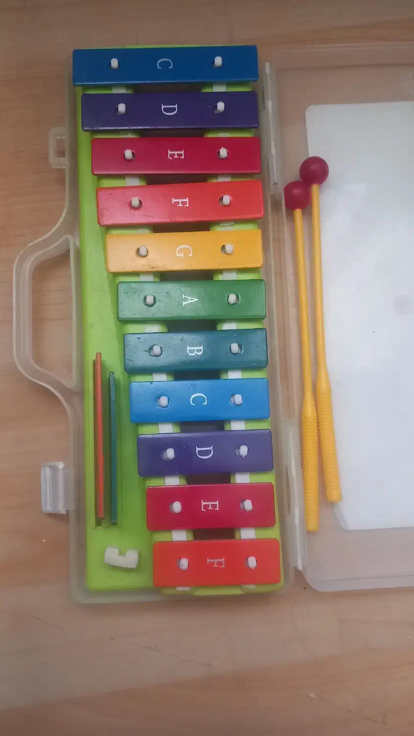 فلوت استخوانی برند باروک اصلی و بلز فروزنده|سازهای بادی|مشهد, کوه سنگی|دیوار