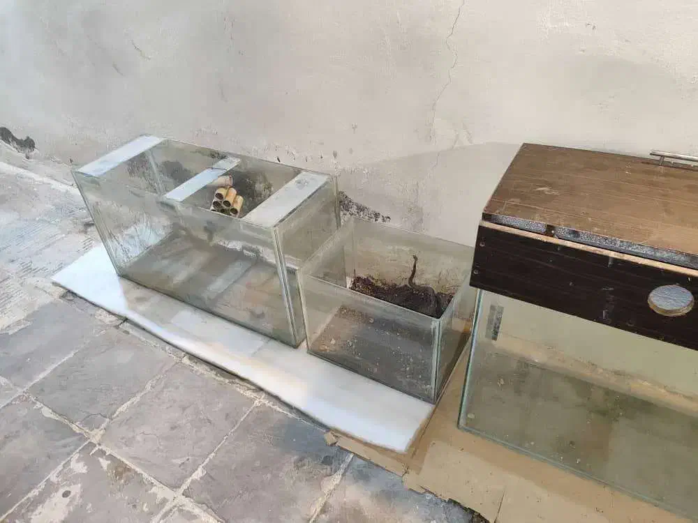 تعدادی آکواریوم|ماهیگیری|کرج, گوهردشت|دیوار