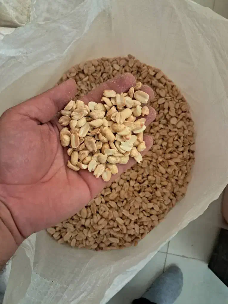بادام زمینی، خارجی|خوردنی و آشامیدنی|اصفهان, دشتستان|دیوار