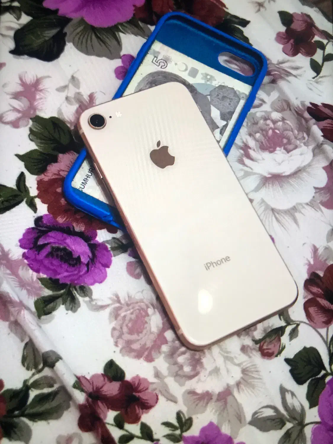 ایفون 8 تمیز درحد نو|موبایل|تالش, هشتپر|دیوار