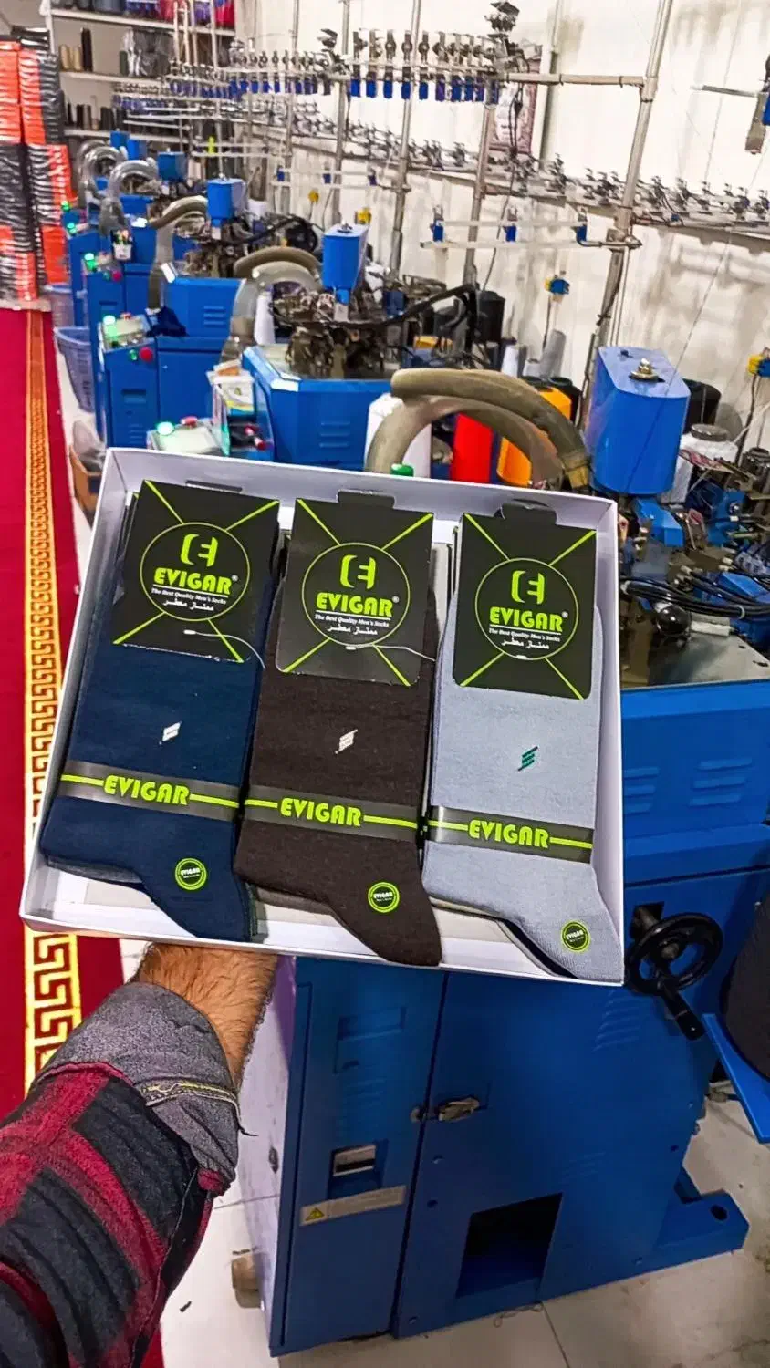 تولید کننده انواع جوراب زنانه و مردانه اعلا|لباس|اشنویه, |دیوار