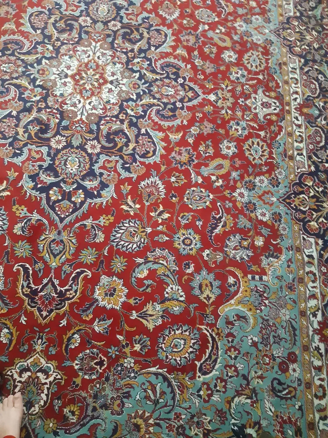 فرش|فرش|مشهد, مقدم|دیوار