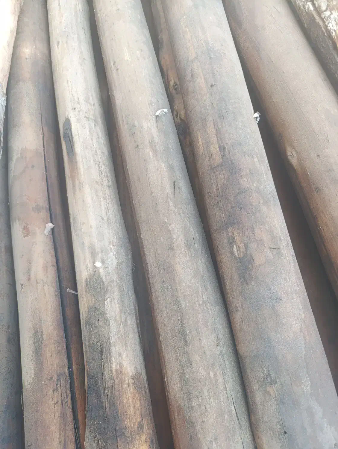 چوب سقف خانه بدون فرسودگی خیلی هم خوب|مصالح و تجهیزات ساختمان|شمیل, |دیوار