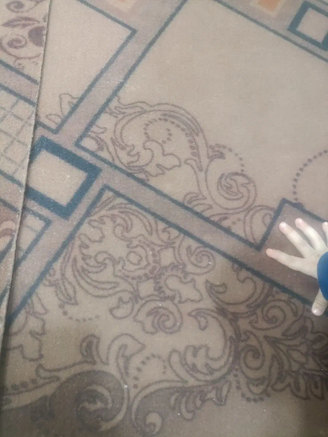 موکت|موکت|دهگلان, |دیوار