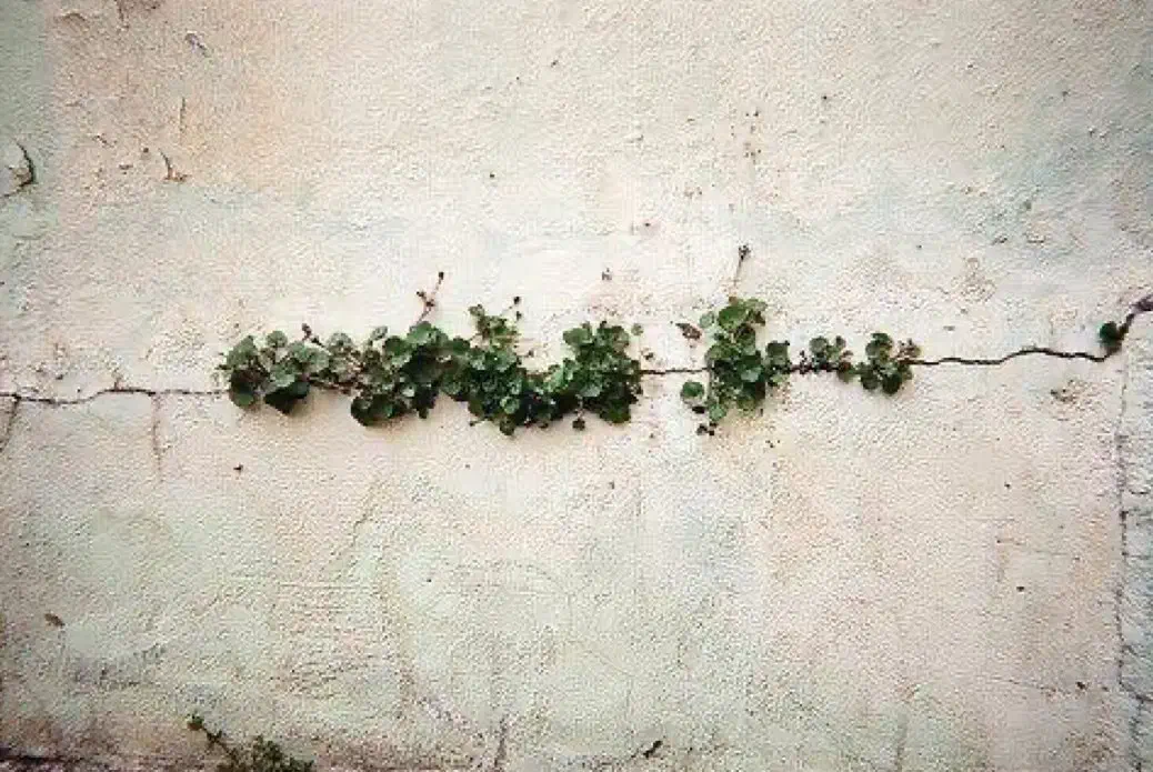 چه کاری باید کرد|فعالیت داوطلبانه|اردکان, |دیوار