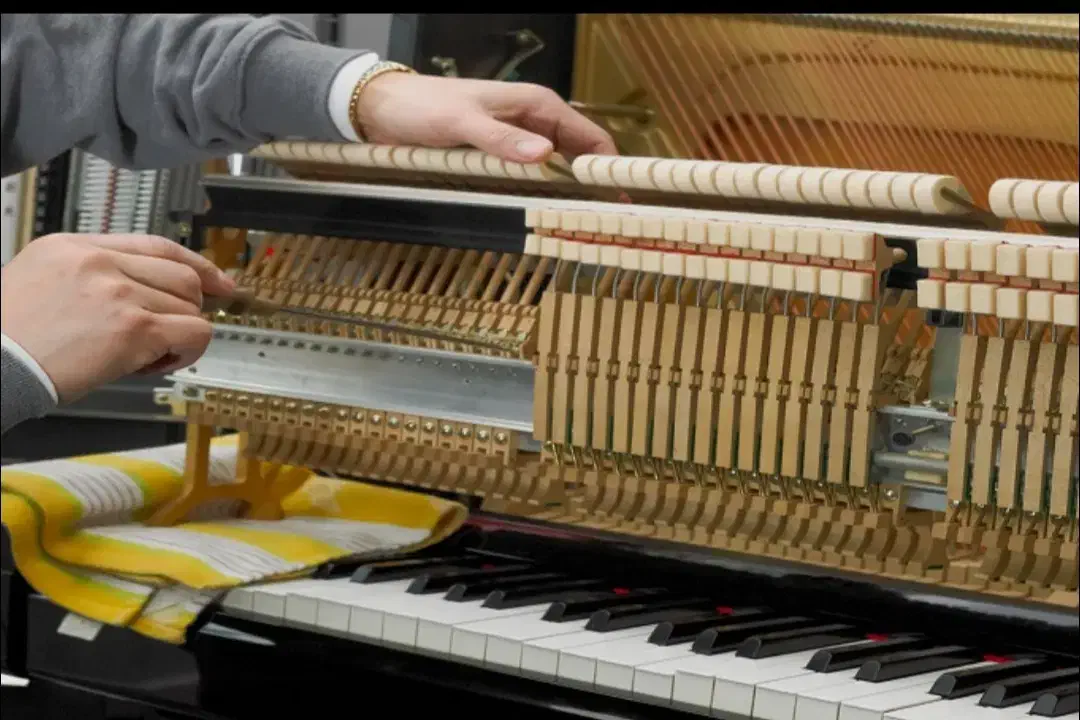 خدمات پیانو|پیانو، کیبورد، آکاردئون|اصفهان, عباس‌آباد|دیوار