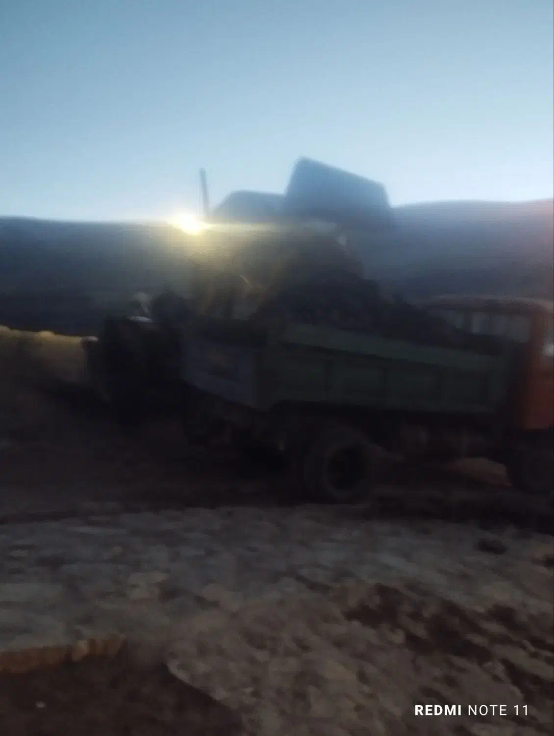 کود گوسفندی|خدمات باغبانی و درختکاری|اسکو, |دیوار