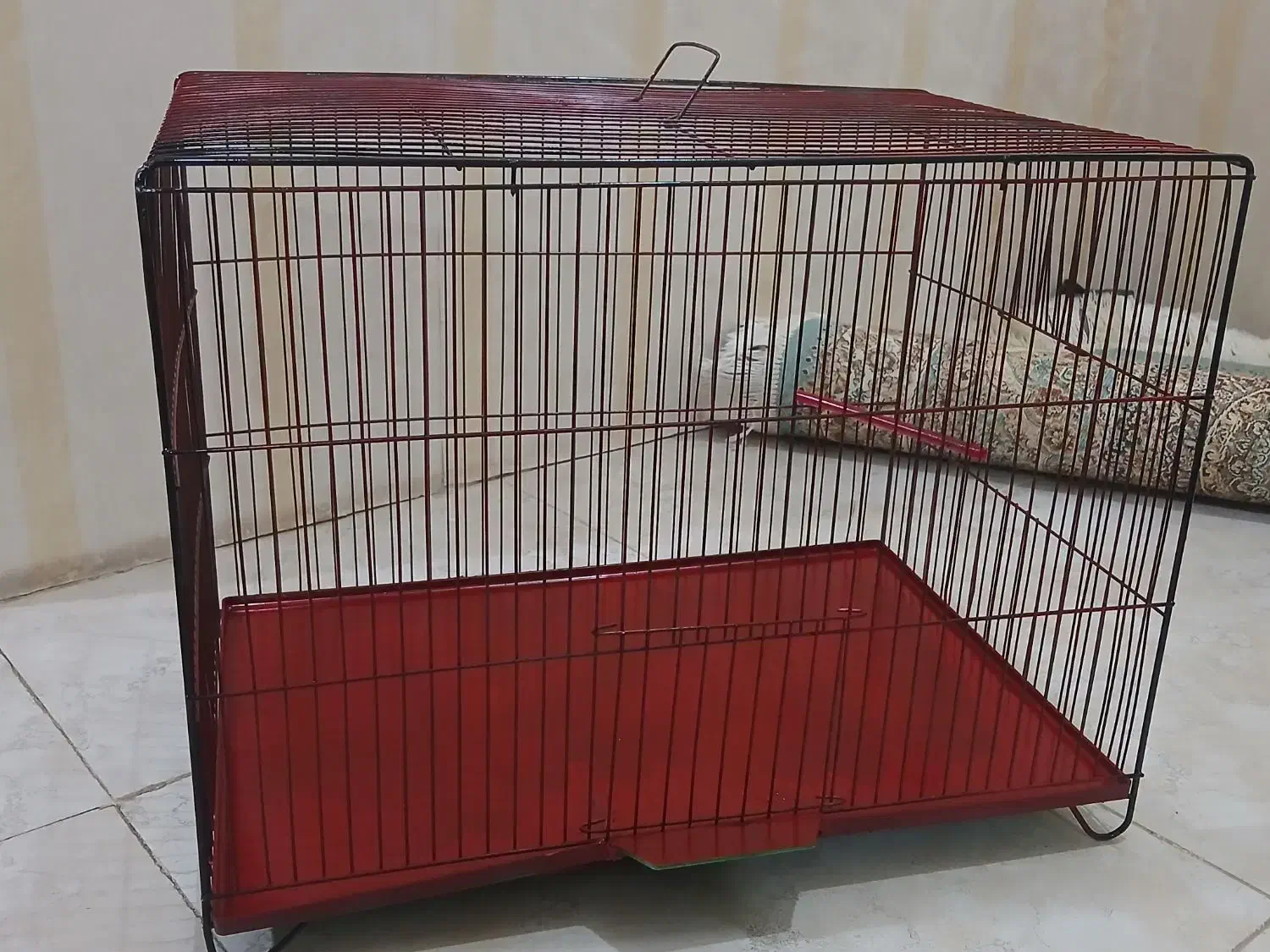 قفس پرنده نو نو|لوازم جانبی حیوانات|پاکدشت, پاکدشت (مامازند)|دیوار