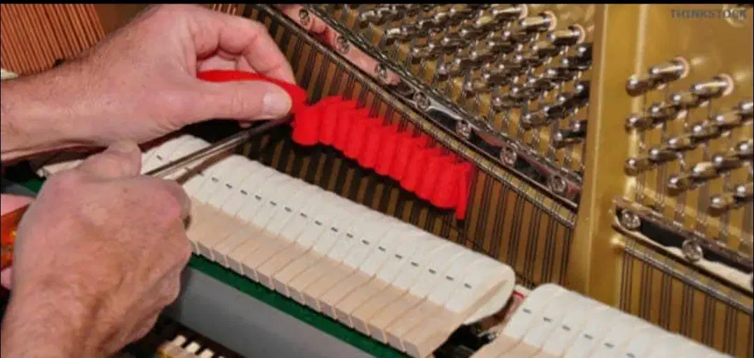 خدمات پیانو|پیانو، کیبورد، آکاردئون|اصفهان, عباس‌آباد|دیوار