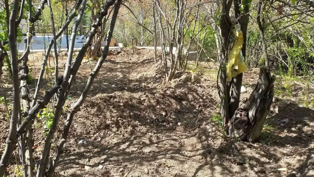 فروش باغستان سیاه میوه در پلنگان|فروش زمین و ملک کلنگی|نیریز, |دیوار