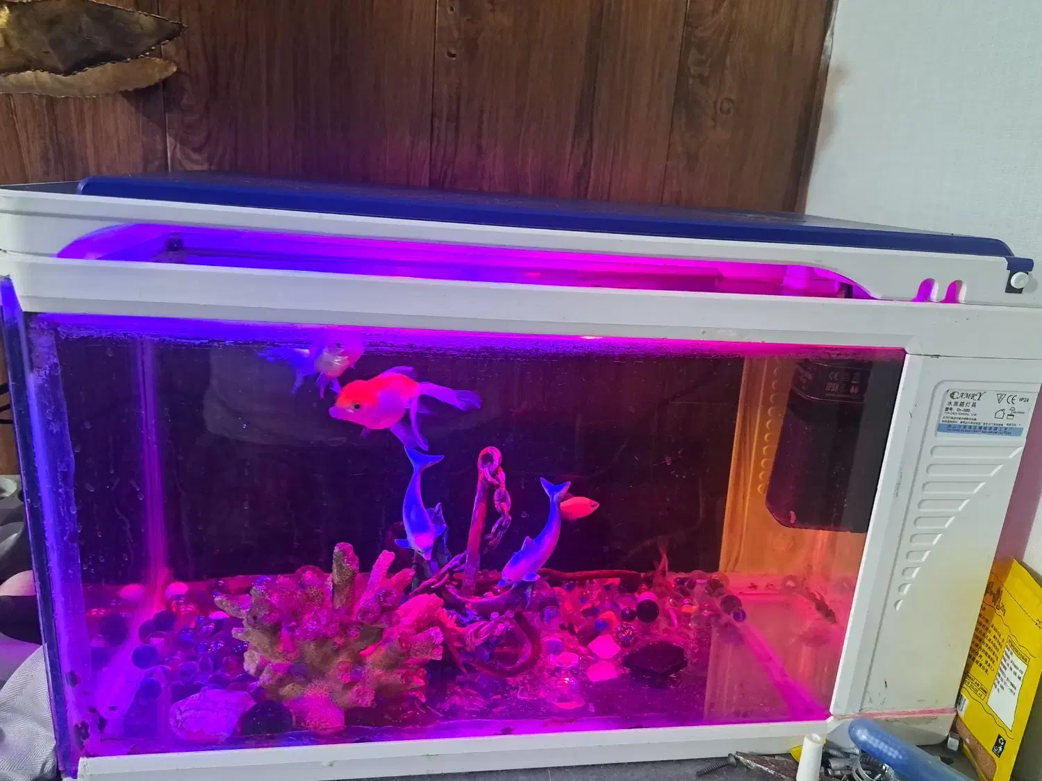 اکواریوم همراه ماهی|ماهی|قرچک, زیبا شهر|دیوار