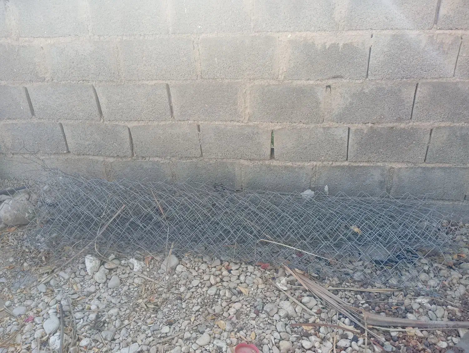 استان بوشهر شهرستان جم شهر ریز|لوازم جانبی حیوانات|ریز, |دیوار