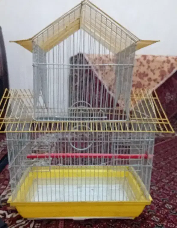 قفس|لوازم جانبی حیوانات|همدان, |دیوار