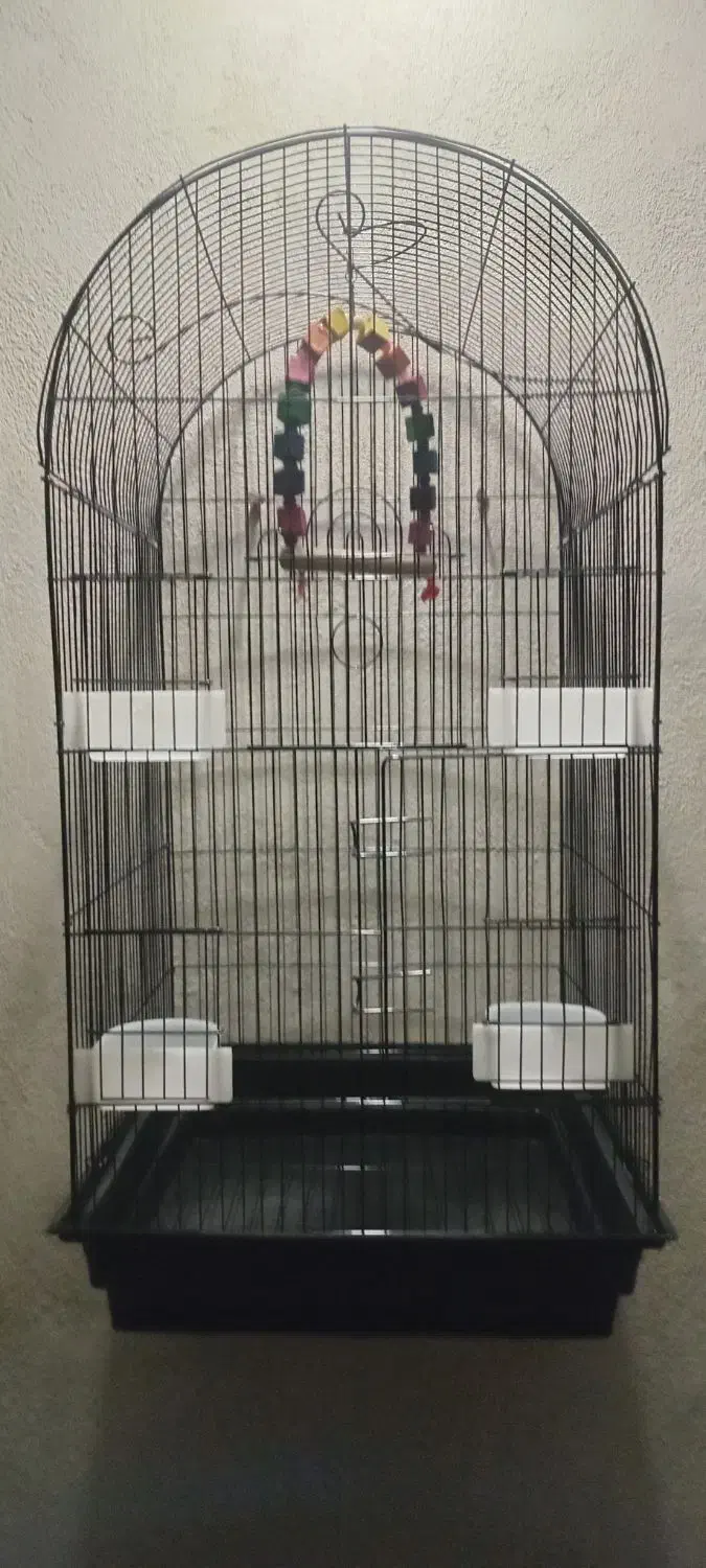 قفس پرندگان|لوازم جانبی حیوانات|بهشهر, |دیوار