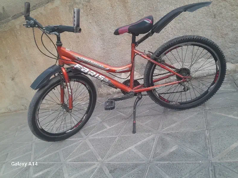 دوچرخه 24|دوچرخه، اسکیت، اسکوتر|تربت جام, حافظ|دیوار