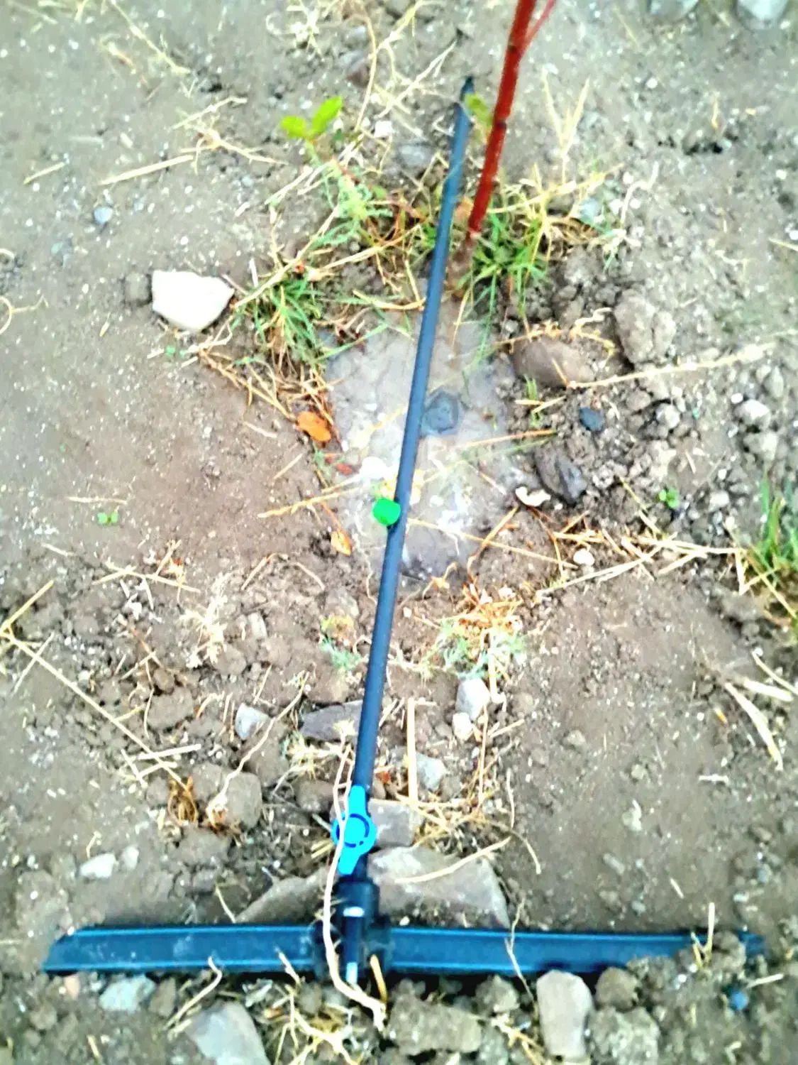 فروش استثنایی باغ سند دار در نمین معاوضه با خودرو|فروش زمین و ملک کلنگی|نمین, |دیوار