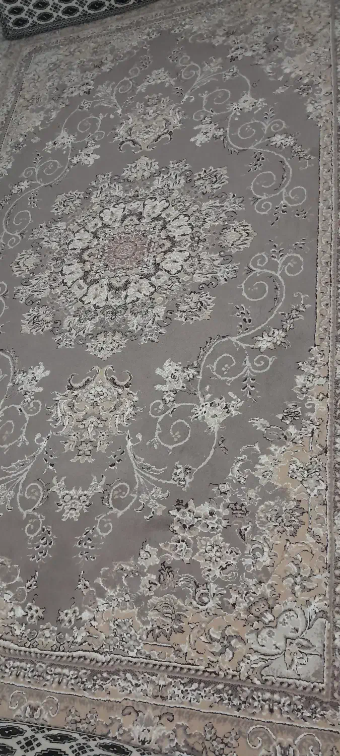 فرش ۶ متری|فرش|لاهیجان, طالقانی|دیوار