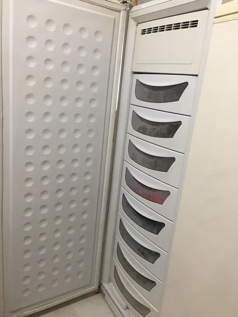 یخچال و فریزر دو قلوی الکترواستیل|یخچال و فریزر|مهاباد (آذربایجان غربی), |دیوار