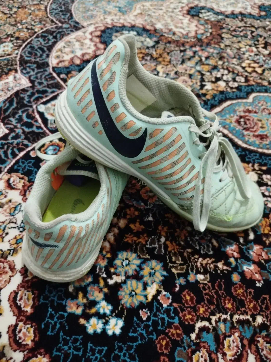 تربت حیدریه|کیف، کفش، کمربند|تربتحیدریه, رضاشهر|دیوار