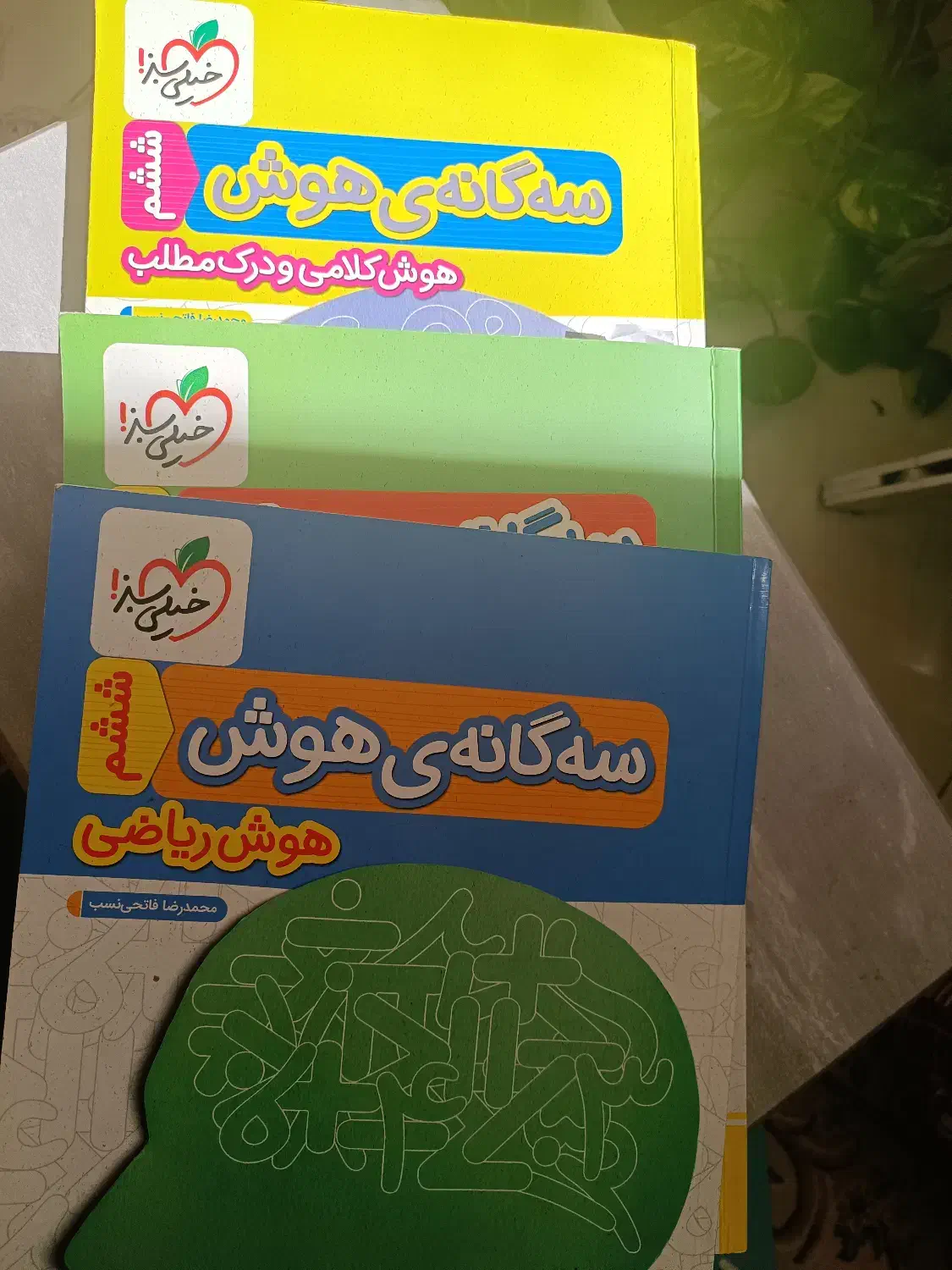 کتاب تیزهوشان ششم به هفتم 1404|کتاب و مجله ادبی|شیراز, دشت چنار|دیوار