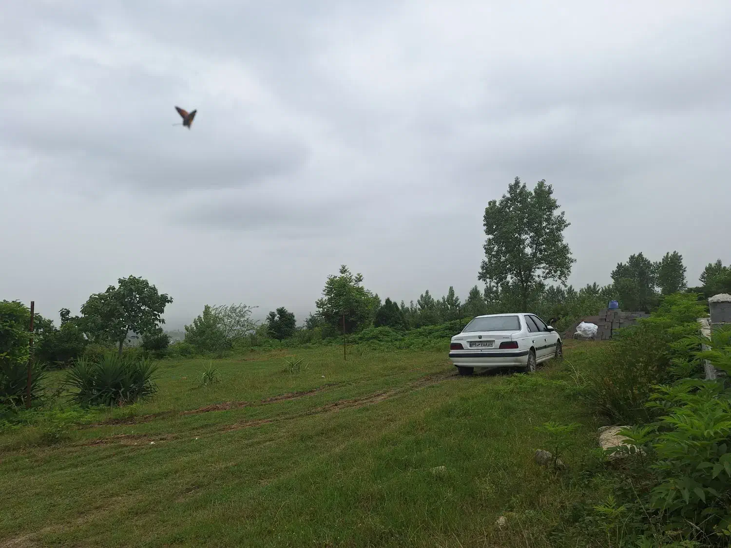 زمین مسکونی ویلائی دارای مرکبات|فروش زمین و ملک کلنگی|گلوگاه بابل (گلیا), |دیوار