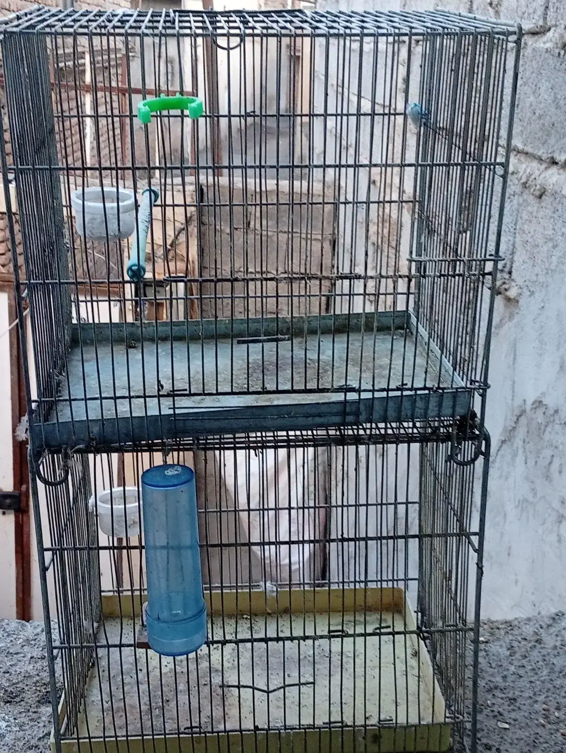 بوقلمون و قفس غلامی|لوازم جانبی حیوانات|مشگین شهر, |دیوار