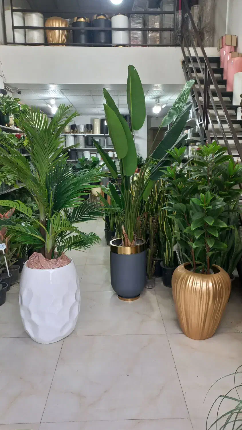 گلدان فایبرگلاس|گل و گیاه طبیعی|گرگان, |دیوار